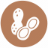 Peanut